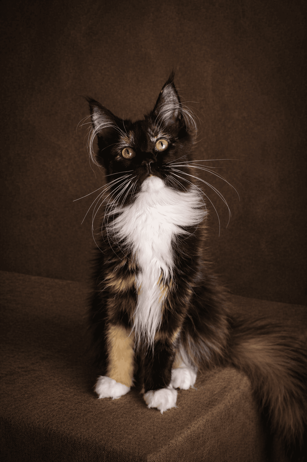 Dakini