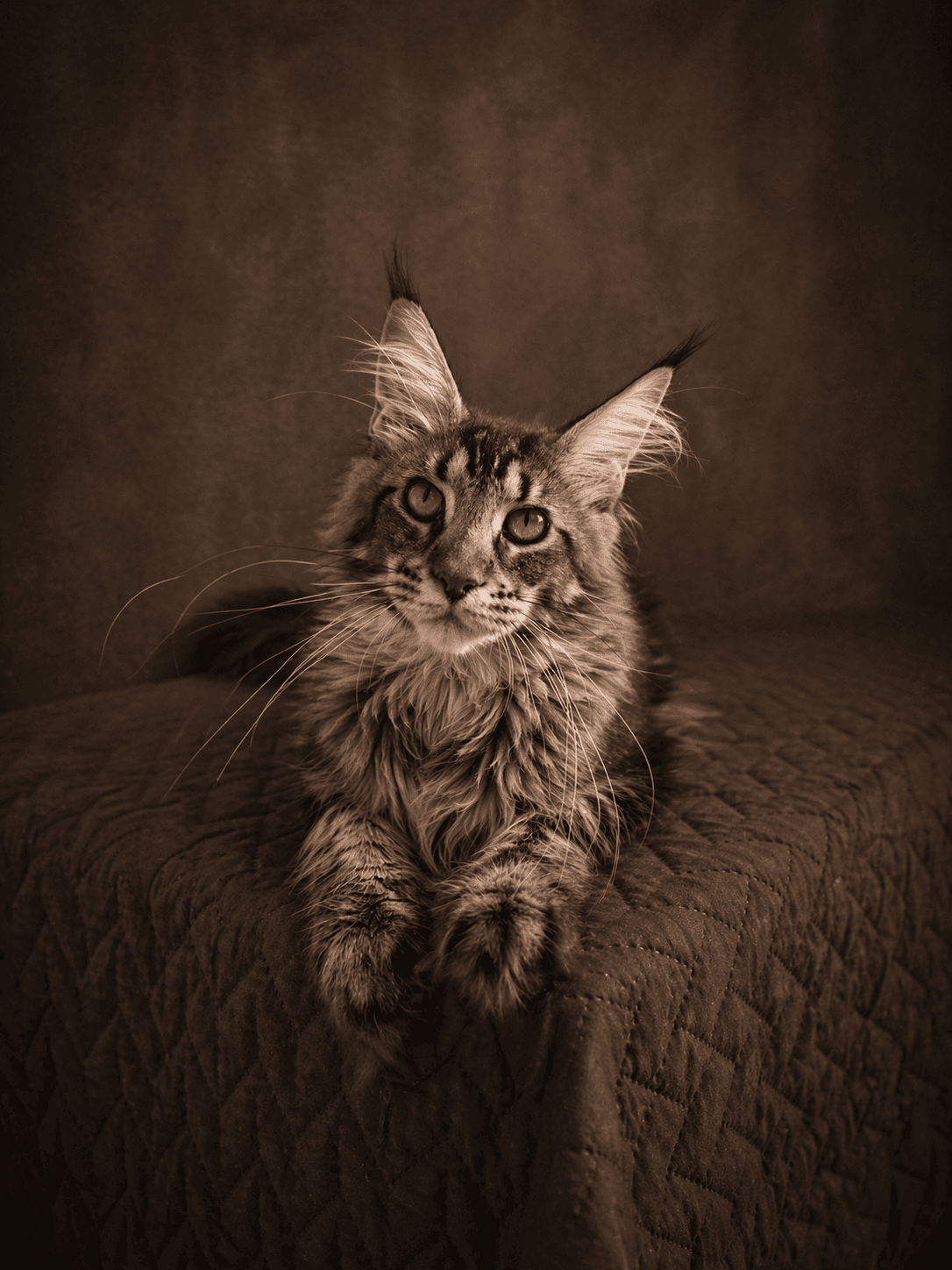 Basilio