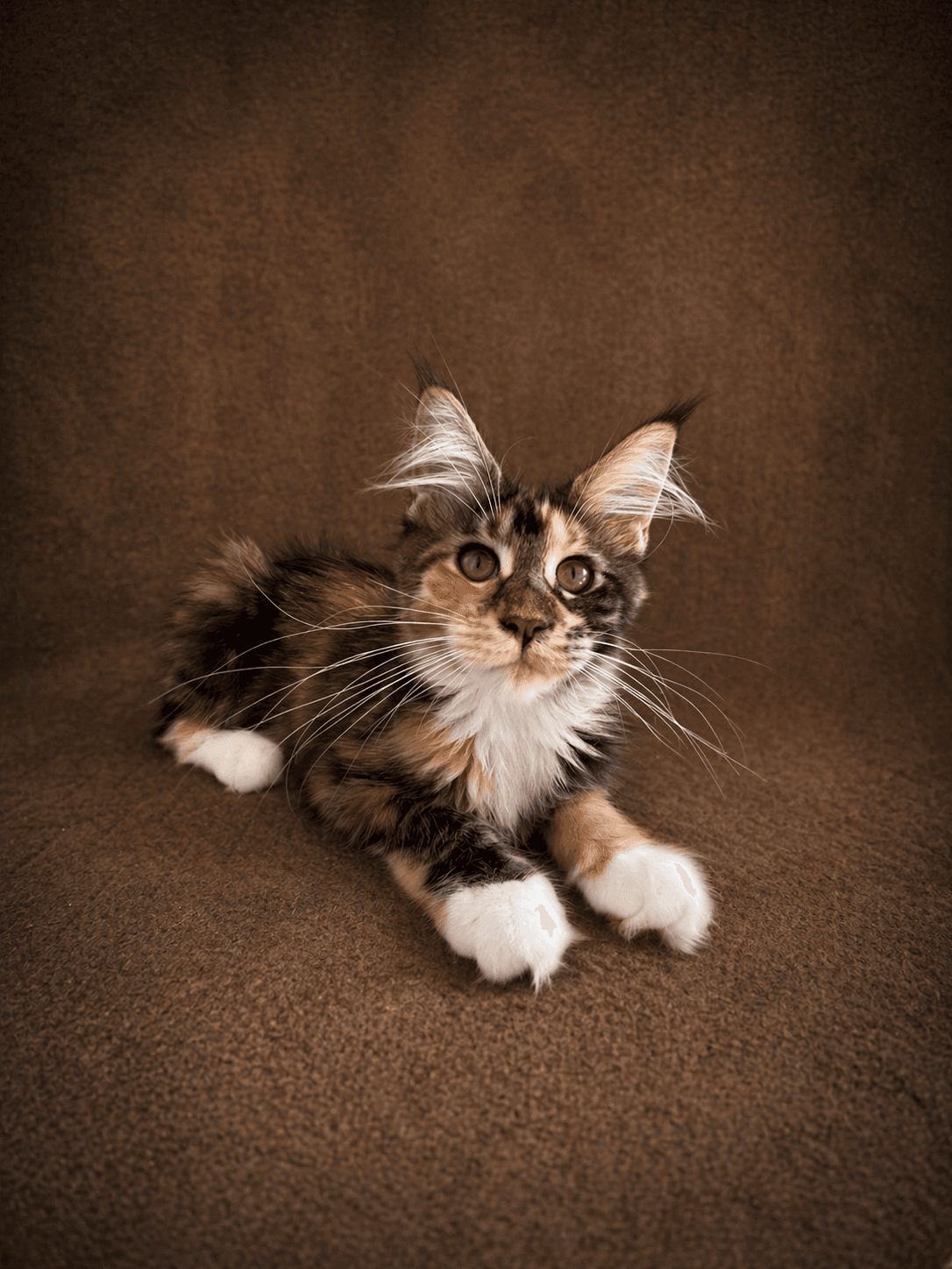 Caramel